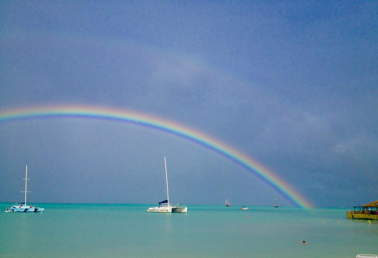Divi Village Golf And Beach Resort Palm Beach Bagian luar foto